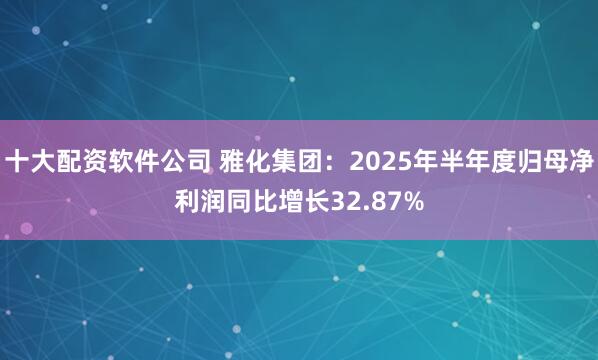 十大配资软件公司 雅化集团：2025年半年度归母净利润同比增长32.87%